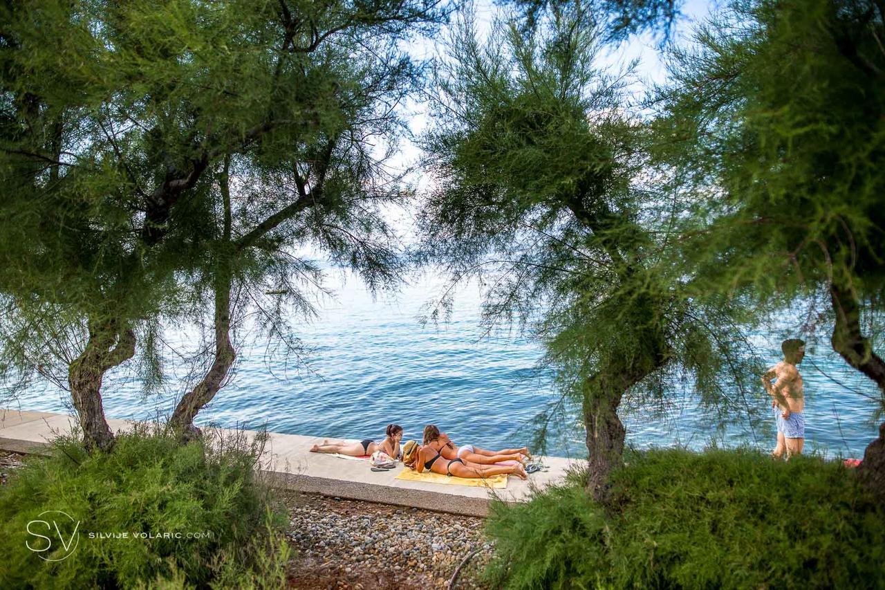 Apartments Petrovic Šilo Εξωτερικό φωτογραφία